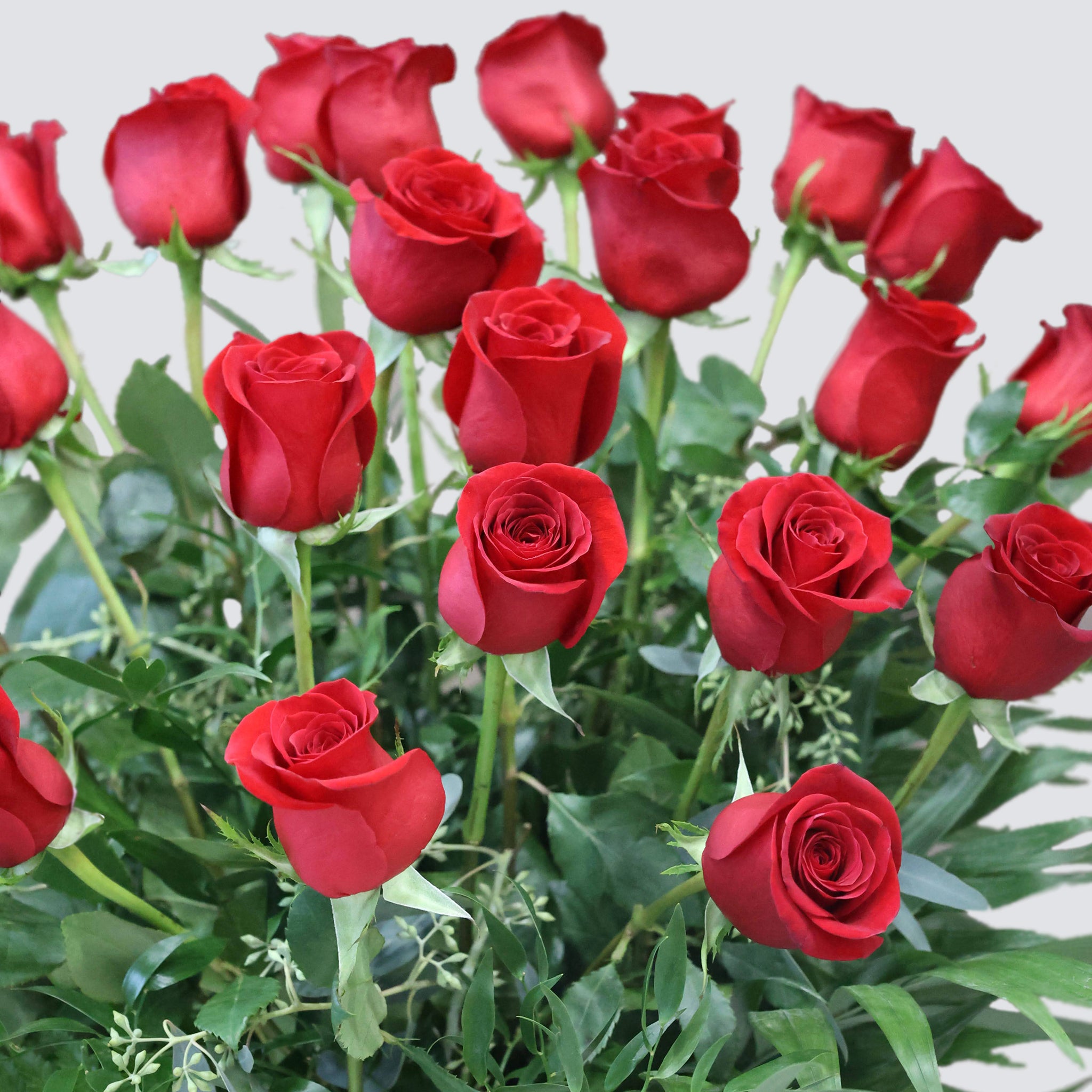 Roses
