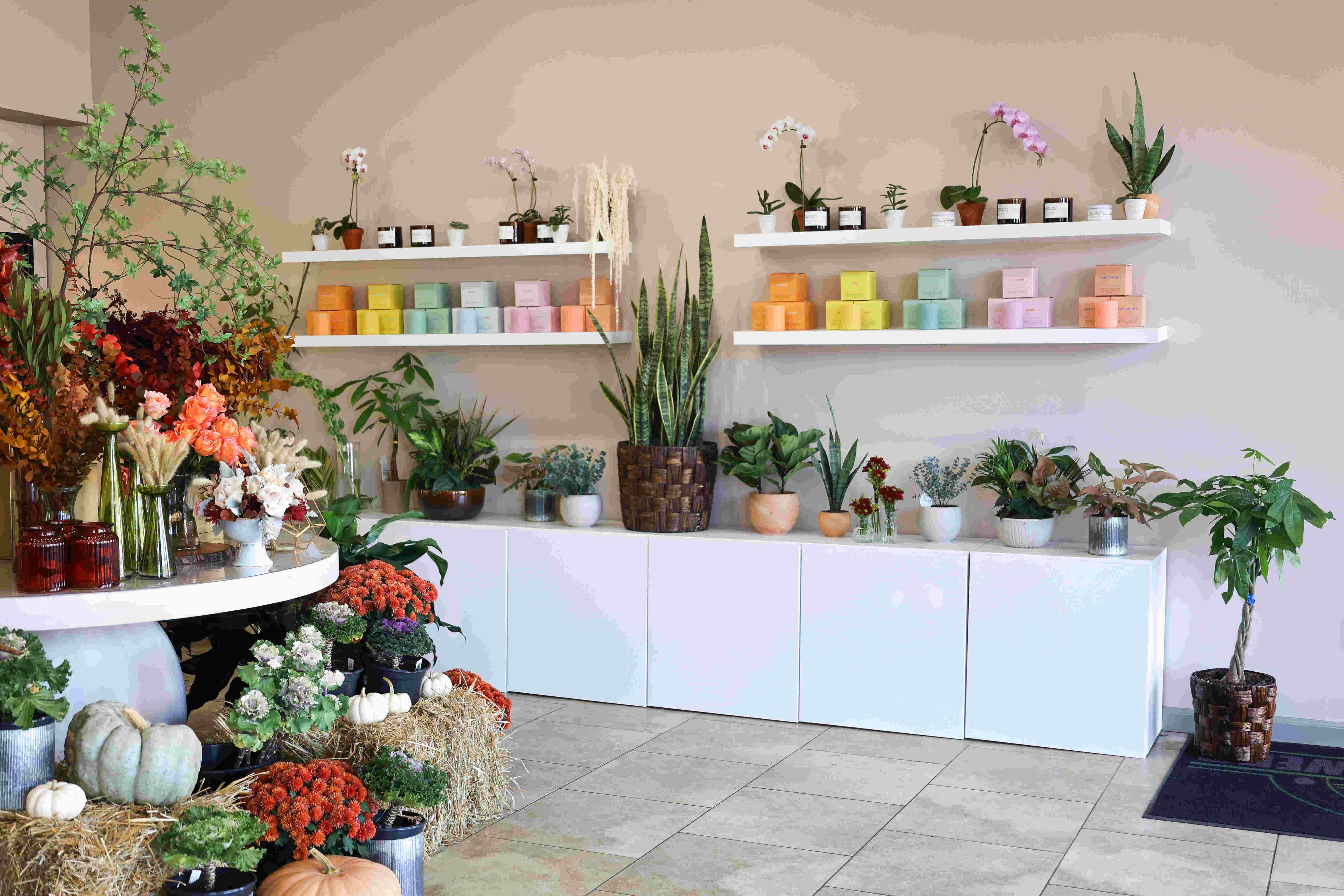 Florist Store