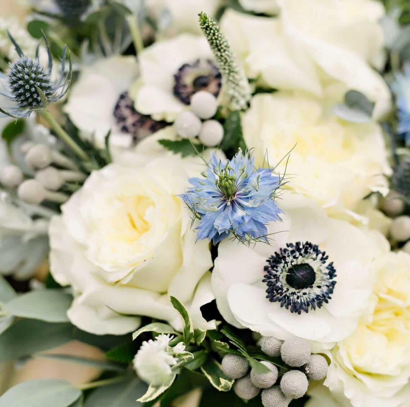 Floral Arrangement or Bouquet